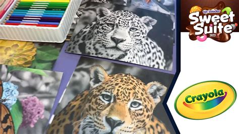 The Perfect Gift: Crayola Magic Art Kit for Kids